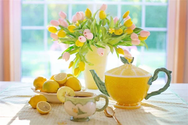 【6月】ピースリリーの育て方、たった8つのケアで葉っぱツヤツヤ・花が咲く