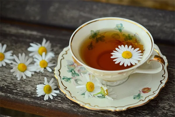 【6月】ピースリリーの育て方、たった8つのケアで葉っぱツヤツヤ・花が咲く