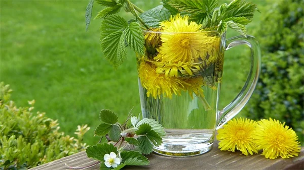 気候変動で植物が移動している？園芸家が今すぐできる5つの対策